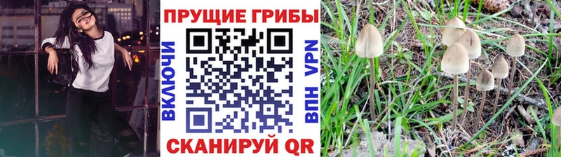 Галлюциногенные грибы MAGIC MUSHROOMS Боровичи