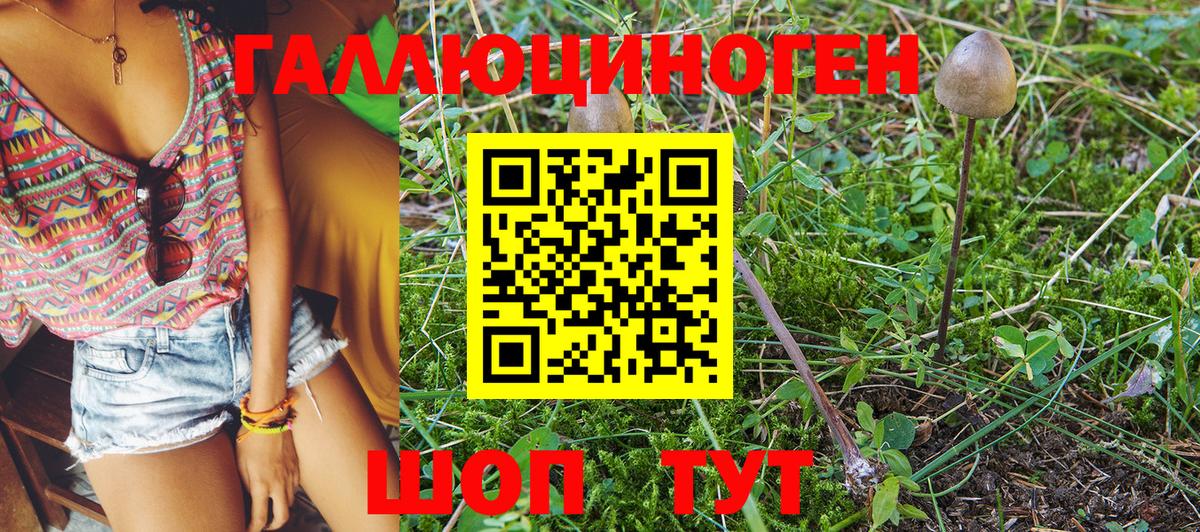 Боровичи  Псилоцибиновые грибы Cubensis  Вход с VPN  Галлюциногенные грибы GOLDEN TEACHER 