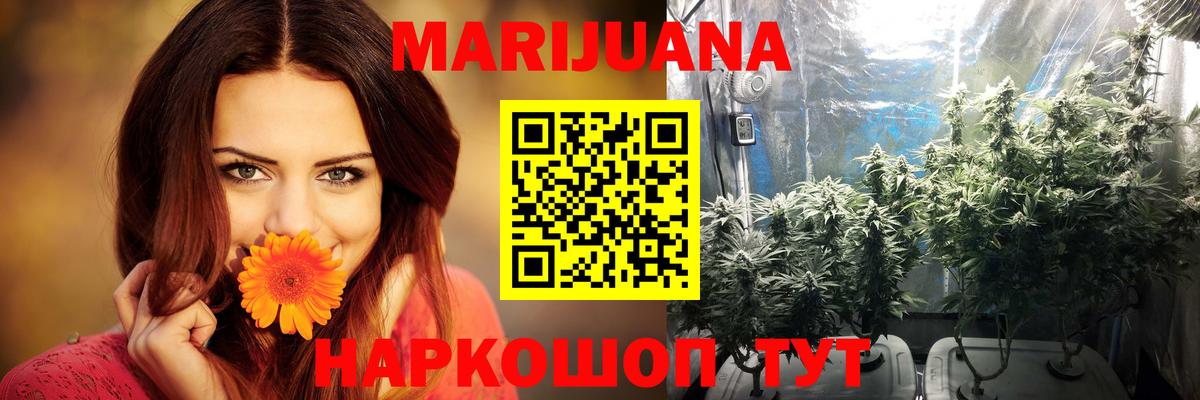 Конопля Amnesia Боровичи